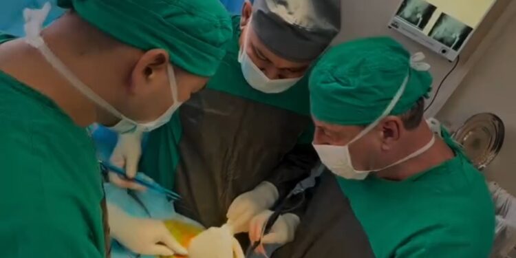 Түркістан облыстық клиникалық ауруханасында жамбас буынын ревизиялық эндопротездеу бойынша практикалық мастер-класс өткізілді