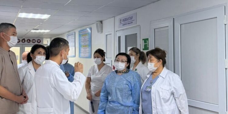 ҚДСҰО мамандары Түркістан облысында эпидемиологиялық бақылау жүйесін кешенді бағалады: өңірлік медицинадағы сапаны арттыру қадамы