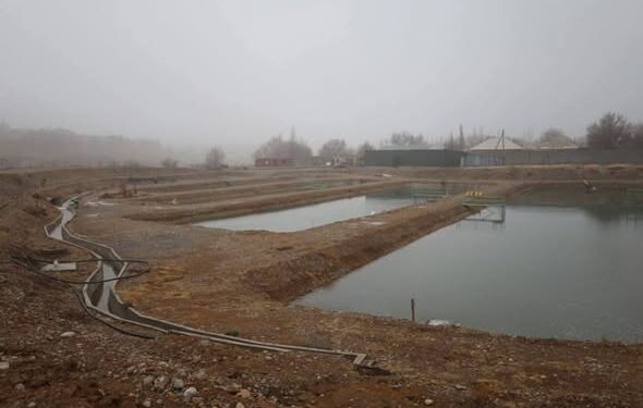 Төлеби ауданында инвестор 400 млн теңгеге балық шаруашылығын қолға алды