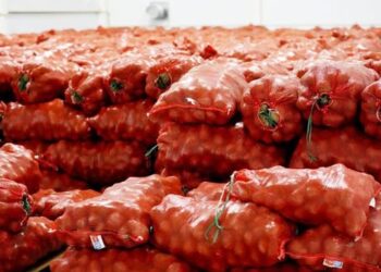 Түркістан облысында әлеуметтік маңызы бар азық-түлік бағасын тұрақтандыру шаралары күшейтілмек