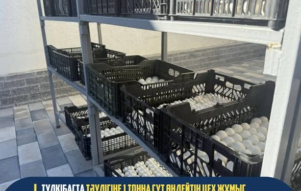 Түлкібас ауданында кәсіпкерлік саласы дамып, жаңа өндіріс орындары іске қосылуда