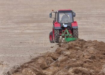 Түркістан облысында биыл ауыл шаруашылығы дақылдары 919 мың гектар жерге егіледі