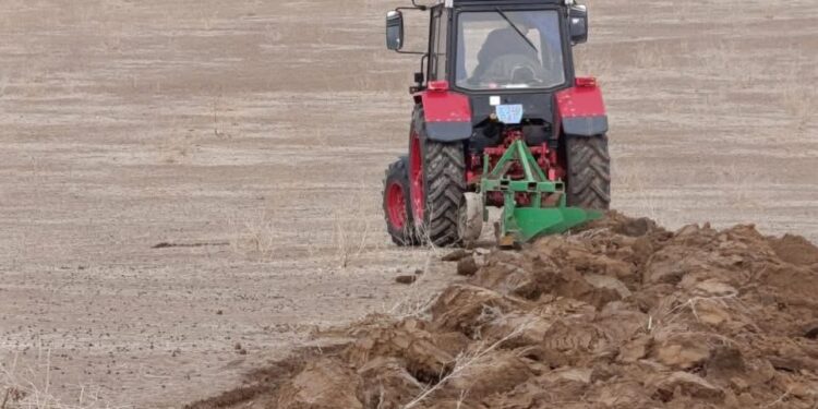 Түркістан облысында биыл ауыл шаруашылығы дақылдары 919 мың гектар жерге егіледі