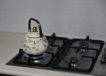 Түркістан облысында Мақтаарал ауданының 64-ші ауылы табиғи газға қосылды: әлеуметтік-инфрақұрылымдық дамудың жаңа кезеңі