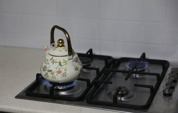 Түркістан облысында Мақтаарал ауданының 64-ші ауылы табиғи газға қосылды: әлеуметтік-инфрақұрылымдық дамудың жаңа кезеңі