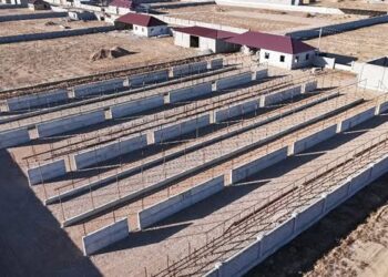 ТҮРКІСТАН: САУРАНДАҒЫ ӨНДІРІС АЙМАҚТАРДА 140-ҚА ЖУЫҚ ҒИМАРАТТЫҢ ҚҰРЫЛЫСЫ ЖҮРІП ЖАТЫР