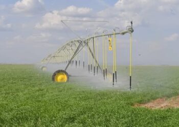 Түркістан облысында су үнемдеу – ұлттық қауіпсіздік кепілі: Президент тапсырмасы нақты нәтиже беруде