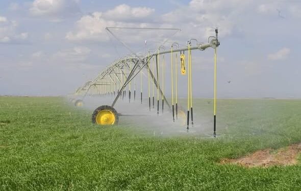 Түркістан облысында су үнемдеу – ұлттық қауіпсіздік кепілі: Президент тапсырмасы нақты нәтиже беруде