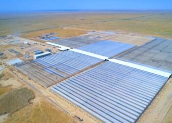 В ТУРКЕСТАНСКОЙ ОБЛАСТИ ЗАПУСТЯТ КРУПНЕЙШИЙ В СТРАНЕ ПРОМЫШЛЕННЫЙ ТЕПЛИЧНЫЙ КОМПЛЕКС