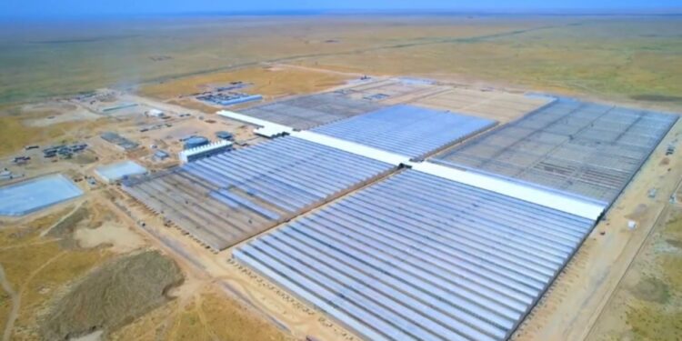 В ТУРКЕСТАНСКОЙ ОБЛАСТИ ЗАПУСТЯТ КРУПНЕЙШИЙ В СТРАНЕ ПРОМЫШЛЕННЫЙ ТЕПЛИЧНЫЙ КОМПЛЕКС