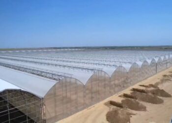 ТҮРКІСТАН ОБЛЫСЫНДА ЕЛІМІЗДЕГІ ЕҢ ІРІ ӨНЕРКӘСІПТІК ЖЫЛЫЖАЙ КЕШЕНІ ІСКЕ ҚОСЫЛАДЫ