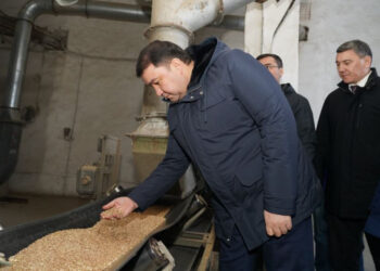 Түркістан облысында қайта жаңғыртылға бидай өңдейтін зауыт іске қосылды