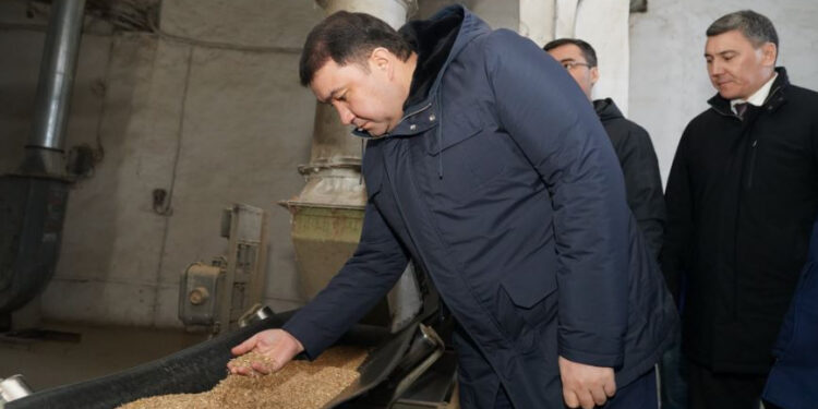 Түркістан облысында қайта жаңғыртылға бидай өңдейтін зауыт іске қосылды