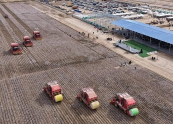 Түркістан облысы ауыл шаруашылығы саласына инвестиция тарту бойынша республикада көш бастап тұр