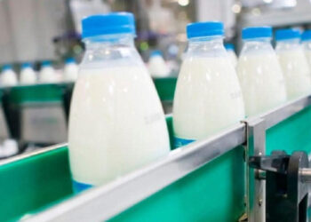 Түркістан облысындағы әлеуметтік мекемелер жергілікті азық-түлік өнімдерін тұтынады