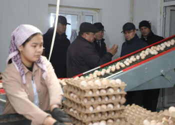 ТҮРКІСТАН: Ералы Тоғжанов Сарыағаштағы инфрақұрылымдық және агроөнеркәсіптік жобалармен танысты