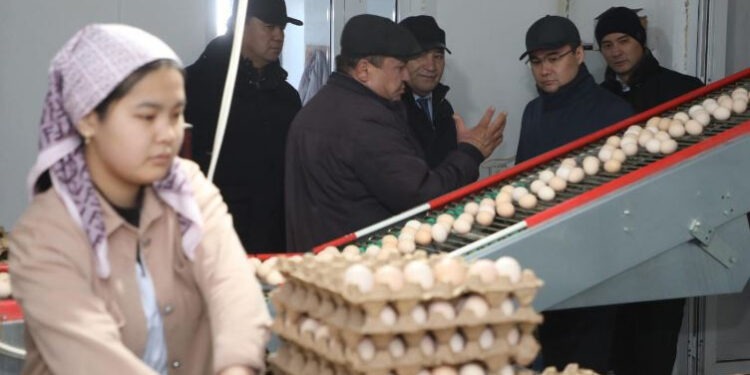 ТҮРКІСТАН: Ералы Тоғжанов Сарыағаштағы инфрақұрылымдық және агроөнеркәсіптік жобалармен танысты