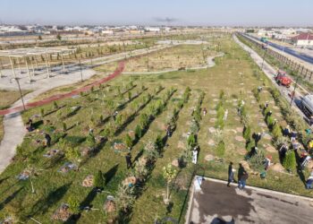 ТҮРКІСТАН ОБЛЫСЫНДА БИЫЛ 1 МЛН ТҮП КӨШЕТ ЕГІЛЕДІ