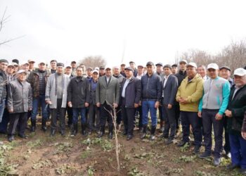 ЖАҢАРУ КҮНІ ТҮРКІСТАН ОБЛЫСЫНДА «МӨЛДІР БҰЛАҚ» ЭКОЛОГИЯЛЫҚ АКЦИЯСЫ ӨТТІ