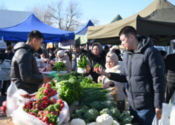 Қолжетімді баға, сапалы өнім: Шымкенттегі сенбілік жәрмеңкелер өтуде