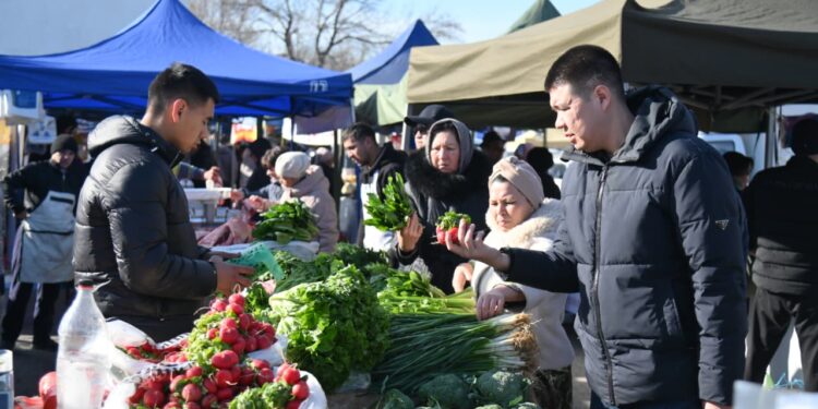 Қолжетімді баға, сапалы өнім: Шымкенттегі сенбілік жәрмеңкелер өтуде