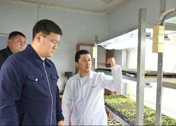 ЖЕТІСАЙДА 9 МЫҢ ГЕКТАРҒА ЖУЫҚ ЕГІСТІК ЖЕР БИОЛОГИЯЛЫҚ ӘДІСПЕН ӨҢДЕЛГЕН