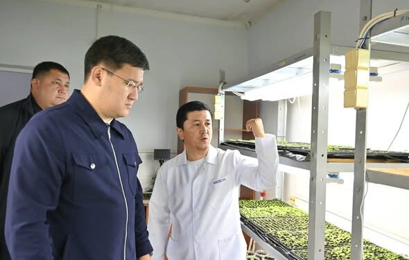 ЖЕТІСАЙДА 9 МЫҢ ГЕКТАРҒА ЖУЫҚ ЕГІСТІК ЖЕР БИОЛОГИЯЛЫҚ ӘДІСПЕН ӨҢДЕЛГЕН