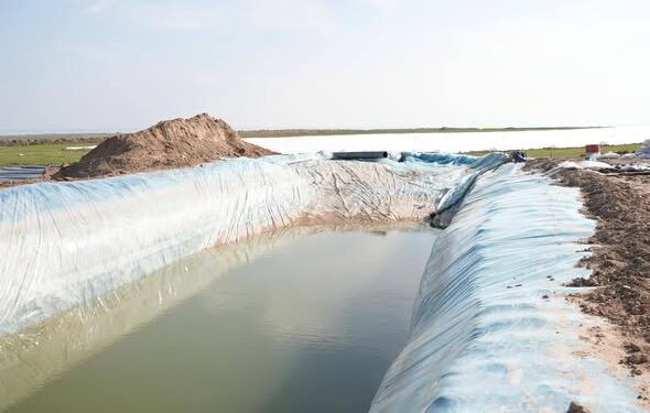 ТҮРКІСТАН ОБЛЫСЫ: ШАРДАРА АУДАНЫНДА СУ ҮНЕМДЕУ ТЕХНОЛОГИЯЛАРЫН ЕНГІЗУ ЖҰМЫСТАРЫ КЕҢ АУҚЫМДА ЖҮРГІЗІЛУДЕ