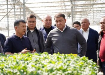 ТҮРКІСТАН ОБЛЫСЫНДА ЖЫЛЫЖАЙ ШАРУАШЫЛЫҒЫН ЭКОЛОГИЯЛЫҚ ТИІМДІ ЖЫЛЫТУ ЖҮЙЕЛЕРІНЕ КӨШІРУ БАҒЫТЫНДА ЖҰМЫСТАР ЖҮРГІЗІЛУДЕ