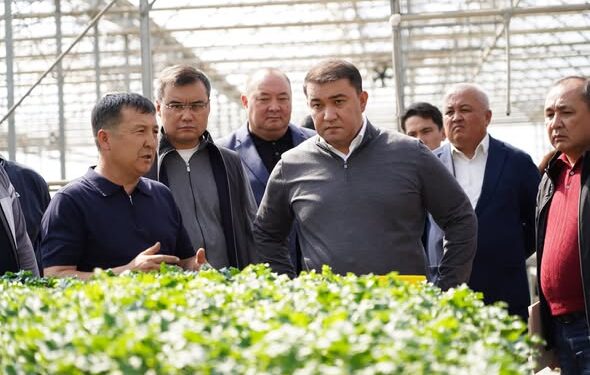 ТҮРКІСТАН ОБЛЫСЫНДА ЖЫЛЫЖАЙ ШАРУАШЫЛЫҒЫН ЭКОЛОГИЯЛЫҚ ТИІМДІ ЖЫЛЫТУ ЖҮЙЕЛЕРІНЕ КӨШІРУ БАҒЫТЫНДА ЖҰМЫСТАР ЖҮРГІЗІЛУДЕ