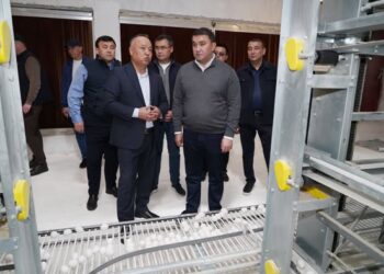 ТҮРКІСТАН ОБЛЫСЫ: САРЫАҒАШТАҒЫ «САРЫАҒАШ-ҚҰС» ЖШС ӨҢІРДІ ОТАНДЫҚ ЖҰМЫРТҚАМЕН ҚАМТАМАСЫЗ ЕТУДЕ