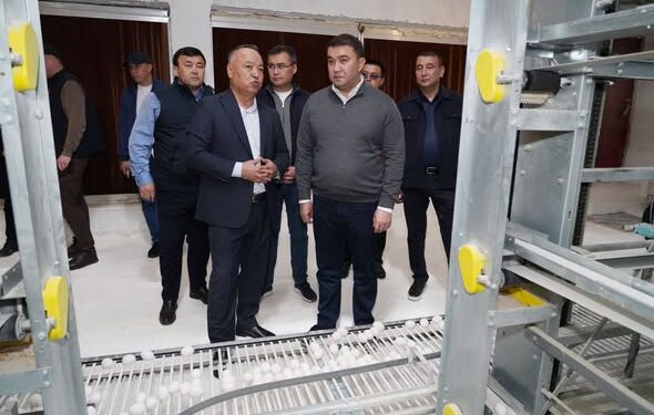 ТҮРКІСТАН ОБЛЫСЫ: САРЫАҒАШТАҒЫ «САРЫАҒАШ-ҚҰС» ЖШС ӨҢІРДІ ОТАНДЫҚ ЖҰМЫРТҚАМЕН ҚАМТАМАСЫЗ ЕТУДЕ