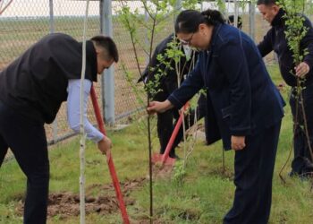 ТҮРКІСТАН ОБЛЫСЫ: «ТАЗА ҚАЗАҚСТАН» АКЦИЯСЫ АЯСЫНДА «САМҒАУ» ОҢАЛТУ ОРТАЛЫҒЫНДА КЕҢ АУҚЫМДЫ ИГІ ЭКОЛОГИЯЛЫҚ ШАРА ӨТТІ