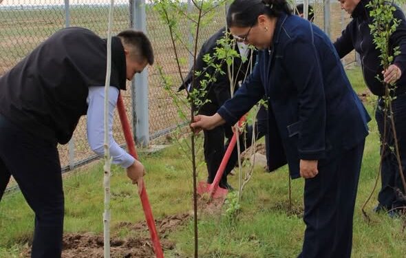 ТҮРКІСТАН ОБЛЫСЫ: «ТАЗА ҚАЗАҚСТАН» АКЦИЯСЫ АЯСЫНДА «САМҒАУ» ОҢАЛТУ ОРТАЛЫҒЫНДА КЕҢ АУҚЫМДЫ ИГІ ЭКОЛОГИЯЛЫҚ ШАРА ӨТТІ