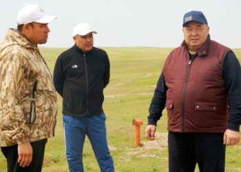 КЕЛЕС АУДАНЫНДА МАРОККОЛЫҚ ШЕГІРТКЕГЕ ҚАРСЫ КЕҢ КӨЛЕМДІ КЕШЕНДІ КҮРЕС ЖҮРГІЗІЛУДЕ