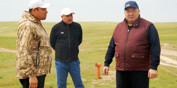 КЕЛЕС АУДАНЫНДА МАРОККОЛЫҚ ШЕГІРТКЕГЕ ҚАРСЫ КЕҢ КӨЛЕМДІ КЕШЕНДІ КҮРЕС ЖҮРГІЗІЛУДЕ