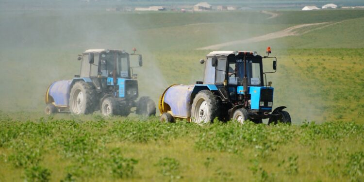 КЕЛЕСТЕ 29 МЫҢ ГЕКТАРДАН АСТАМ ЖЕР МАРОККОЛЫҚ ШЕГІРТКЕГЕ ҚАРСЫ ӨҢДЕЛІП, КҮРЕС ЖҰМЫСТАРЫ КЕҢ КӨЛЕМДЕ ЖАЛҒАСУДА