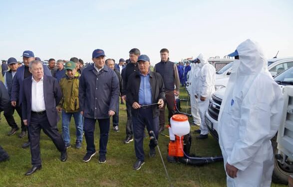 ТҮРКІСТАН ОБЛЫСЫНДА ШЕГІРТКЕГЕ ҚАРСЫ КЕШЕНДІ КҮРЕС КҮШЕЙТІЛДІ