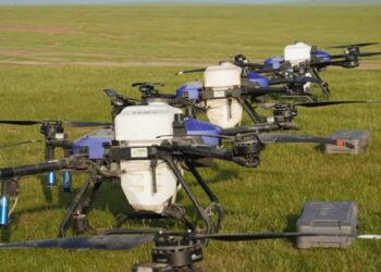 ТҮРКІСТАН ОБЛЫСЫНДА 906 МЫҢ ГЕКТАР АУМАҚТА МОНИТОРИНГ ЖҮРГІЗІЛУДЕ