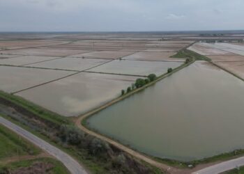 Түркістан облысында сор шаю үшін 400 млн текше метр су берілді