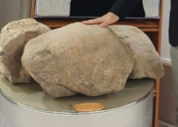 ТҮРКІСТАН ОБЛЫСЫНАН «ҚАЗАҚ КҮШІНІҢ КАРТАСЫНА» 15 БАЛУАН ТАС ЕНГІЗІЛІП, ҰЛТТЫҚ СПОРТТЫ ЗЕРТТЕУ ЖОБАСЫ ЖАҢА ДЕҢГЕЙГЕ ШЫҚТЫ