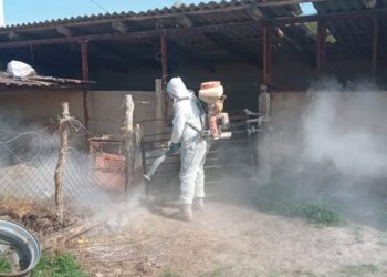 ОРДАБАСЫ АУДАНЫНДА ДЕЗИНФЕКЦИЯ ЖӘНЕ ЗАЛАЛСЫЗДАНДЫРУ ЖҰМЫСТАРЫ ЖҮЙЕЛІ ТҮРДЕ ЖАЛҒАСУДА