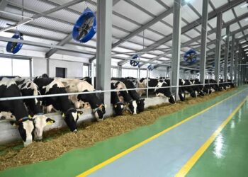 ТҮРКІСТАН ОБЛЫСЫНДА 223 ЖАҢА АУЫЛ ШАРУАШЫЛЫҒЫ ТЕХНИКАСЫ САТЫП АЛЫНДЫфц(