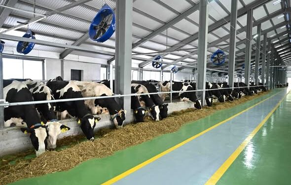 ТҮРКІСТАН ОБЛЫСЫНДА 223 ЖАҢА АУЫЛ ШАРУАШЫЛЫҒЫ ТЕХНИКАСЫ САТЫП АЛЫНДЫфц(