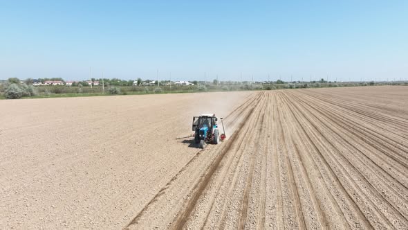 ТҮРКІСТАН: МАҚТААРАЛДА МАҚТА ЕГУ НАУҚАНЫ БАСТАЛДЫ