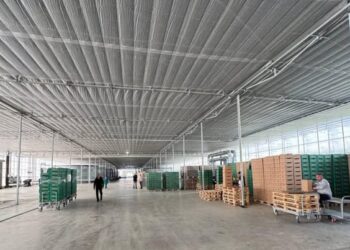 ТҮРКІСТАН: КЕЛЕС АУДАНЫНДА ИНВЕСТИЦИЯ КӨЛЕМІ АРТЫП, ЭКОНОМИКАЛЫҚ ДАМУ ҚАРҚЫН АЛУДА