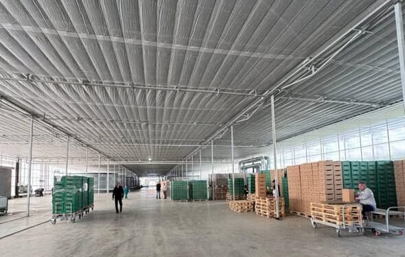 ТҮРКІСТАН: КЕЛЕС АУДАНЫНДА ИНВЕСТИЦИЯ КӨЛЕМІ АРТЫП, ЭКОНОМИКАЛЫҚ ДАМУ ҚАРҚЫН АЛУДА