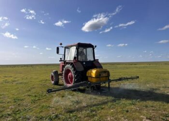 САУРАН АУДАНЫНДА ШЕГІРТКЕ ЗИЯНКЕСТЕРІНЕ ҚАРСЫ КЕШЕНДІ ДӘРІЛЕУ ЖҰМЫСТАРЫ ЖҮЙЕЛІ ТҮРДЕ ЖАЛҒАСУДА