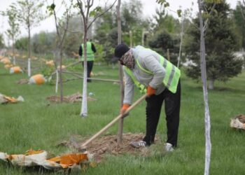 ТҮРКІСТАНДА АБАТТАНДЫРУ ЖӘНЕ КӨГАЛДАНДЫРУ ЖҰМЫСТАРЫ ЖҮЙЕЛІ ТҮРДЕ ЖҮРГІЗІЛІП ЖАТЫР