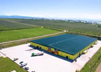 ТҮРКІСТАН ОБЛЫСЫНДА «DALA FRUIT» АГРОӨНЕРКӘСІПТІК КЕШЕНІ ТАБЫСТЫ ЖҰМЫС ІСТЕП ТҰР